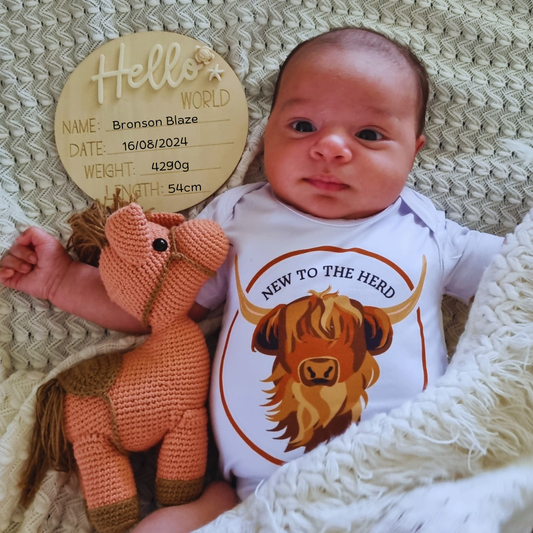 Wooden announcement disc with 'Hello World' text and a place for name, date, weight and length details.