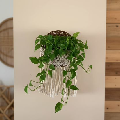 Macrame Basket 1