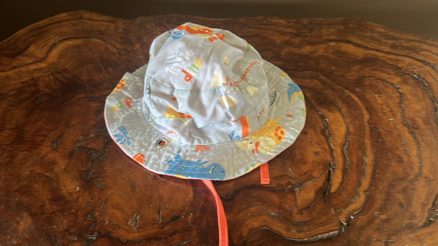 Reversible hats